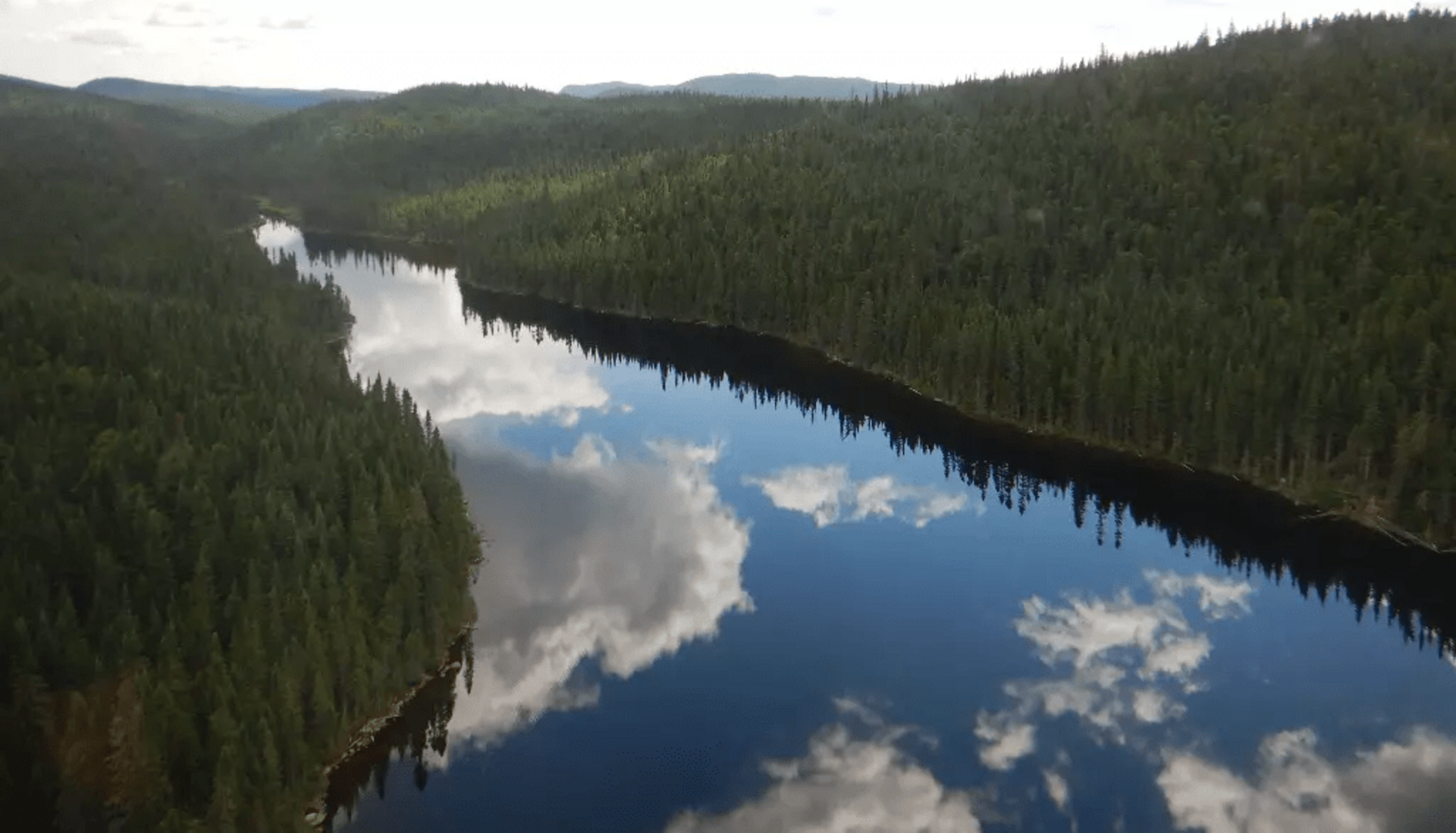Étude publiée dans Forest Ecology and Management sur les microorganismes qui vivent dans le sol des forêts boréales,