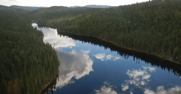 Étude publiée dans Forest Ecology and Management sur les microorganismes qui vivent dans le sol des forêts boréales,