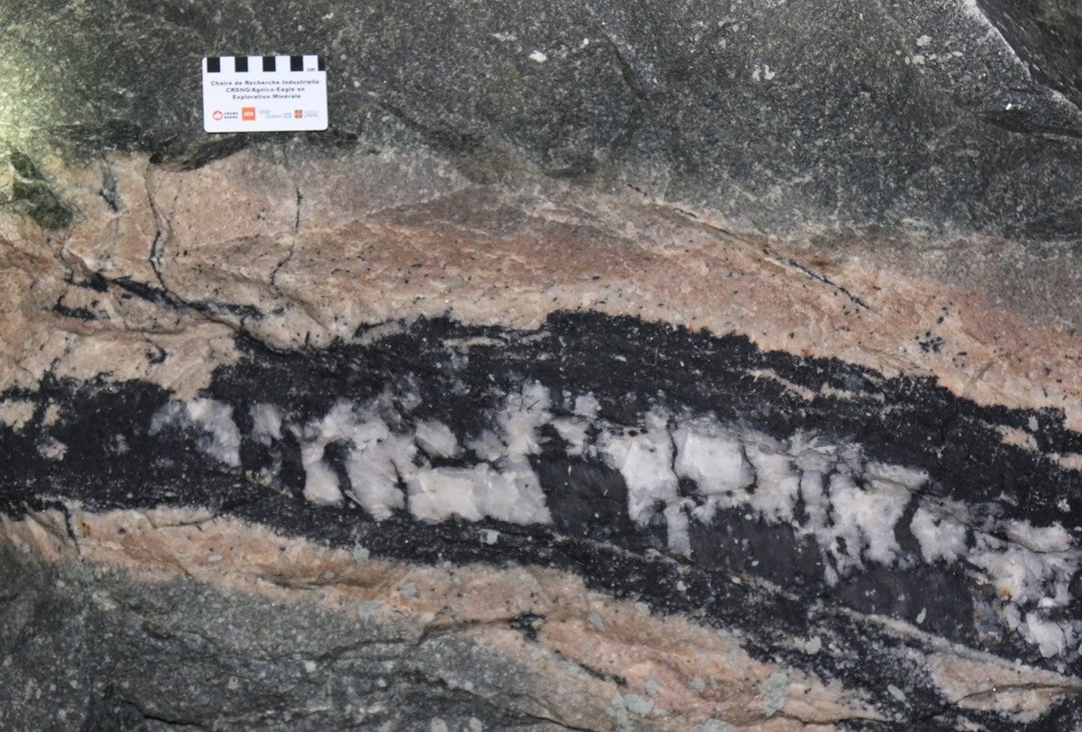 Filon aurifère de quartz (blanc) et tourmaline (noir) avec son enveloppe d’altération (pâle), Mine Goldex