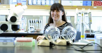 Nadia Aubin-Horth, professeure au Département de biologie