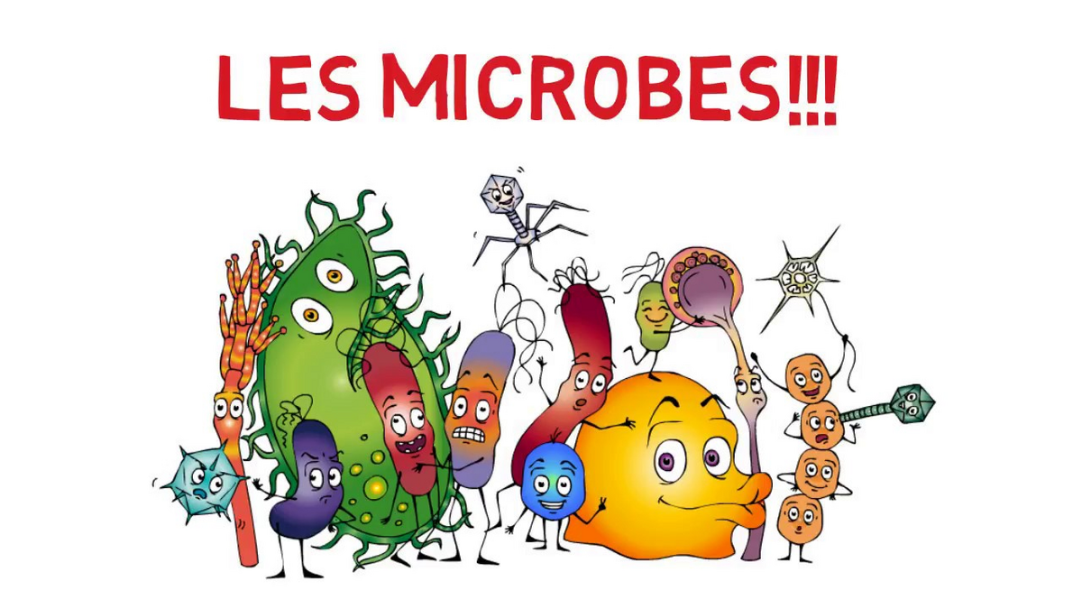 Microbes 101 : un cours pour démystifier ces micro-organismes - Faculté ...