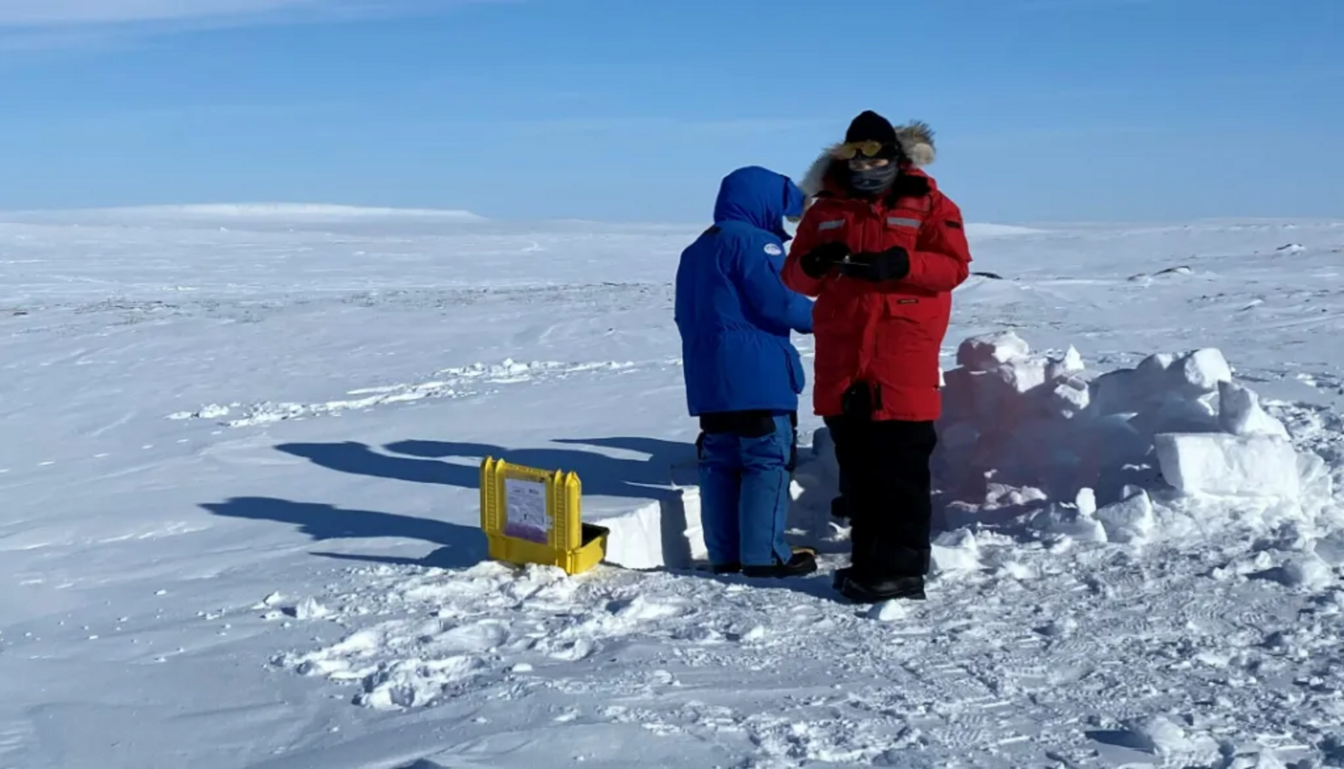 École internationale sur la neige arctique