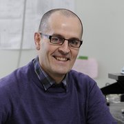 Gaétan Laroche, professeur au Département de génie des mines, de la métallurgie et des matériaux