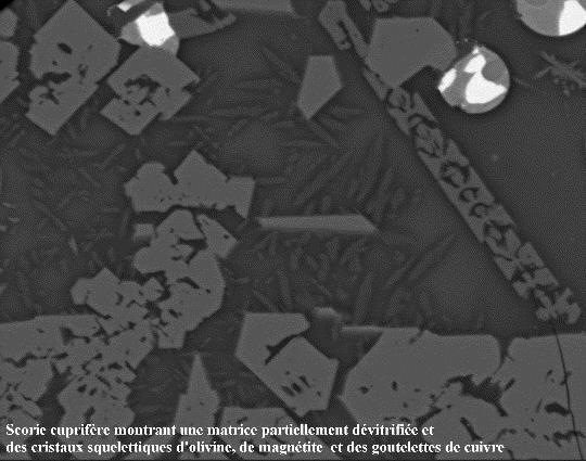 Microscopes électroniques à balayage - Scientec